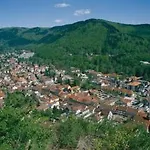 Hotel Muehl Vital Bad Lauterberg